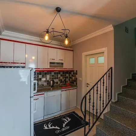 High Speed Internet Jakuzi 1 Apartament Fethiye